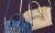 From Clutches to Totes: Exploring the World of Women’s Handbags